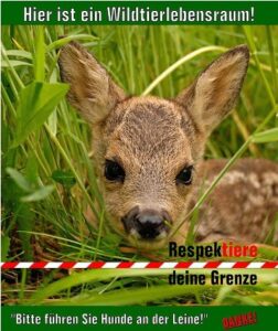 Respektiere_deine_Grenzen